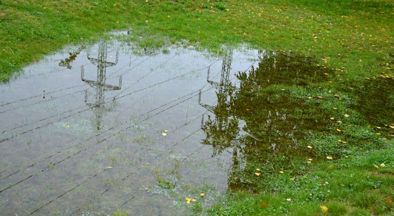 Damaged Yard Repair