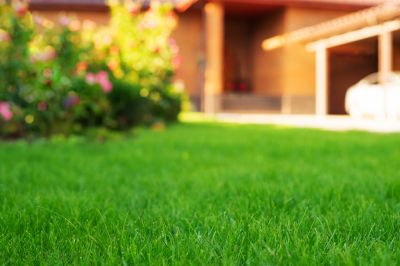 Lawn Landscaping