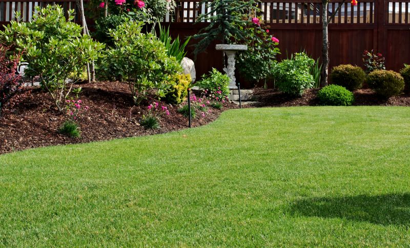 Yard Landscaping Service