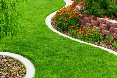 Overall Landscape Appearance Improvement!